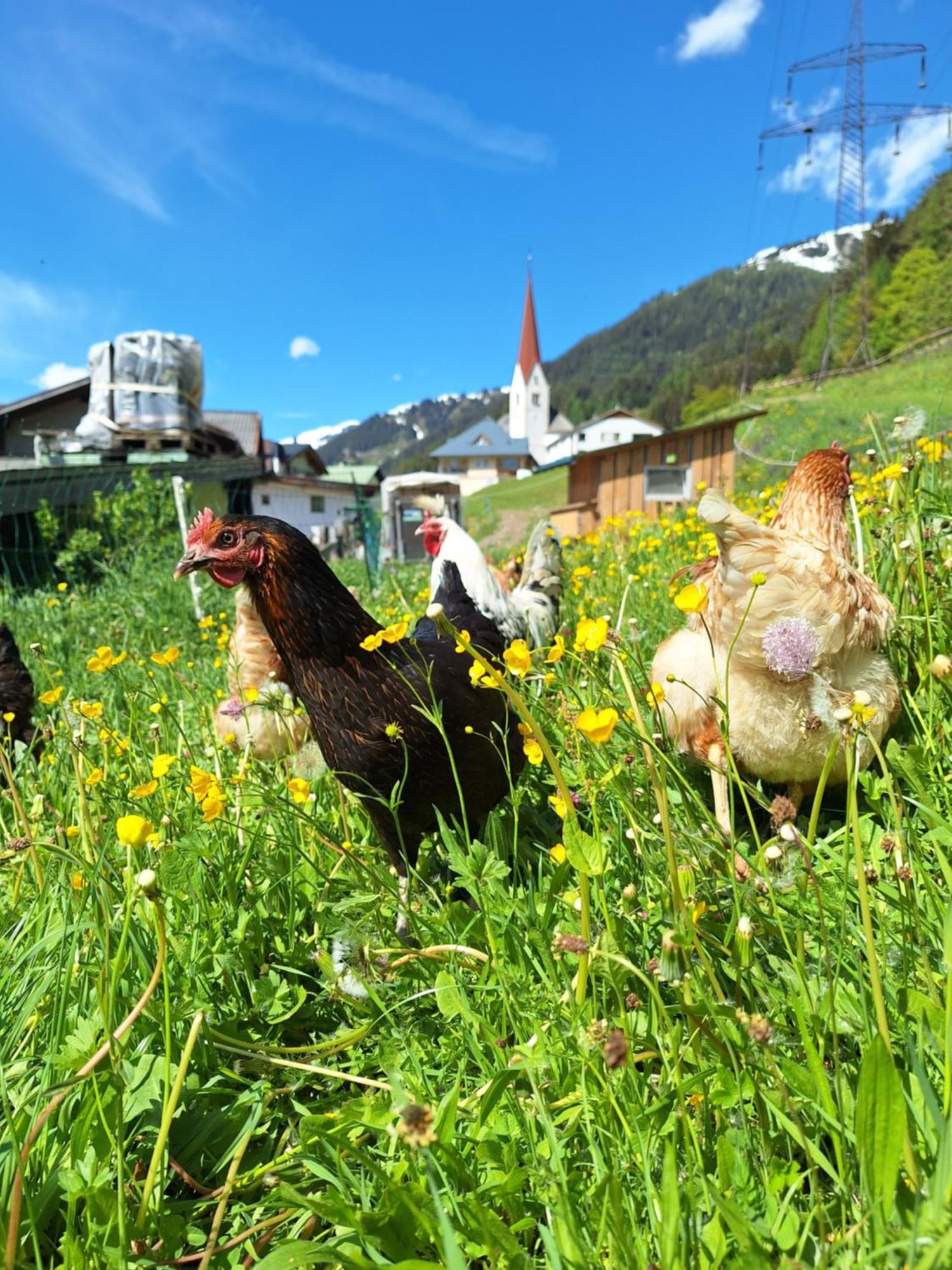 Gsoerhof Apartman Sankt Anton am Arlberg Kültér fotó