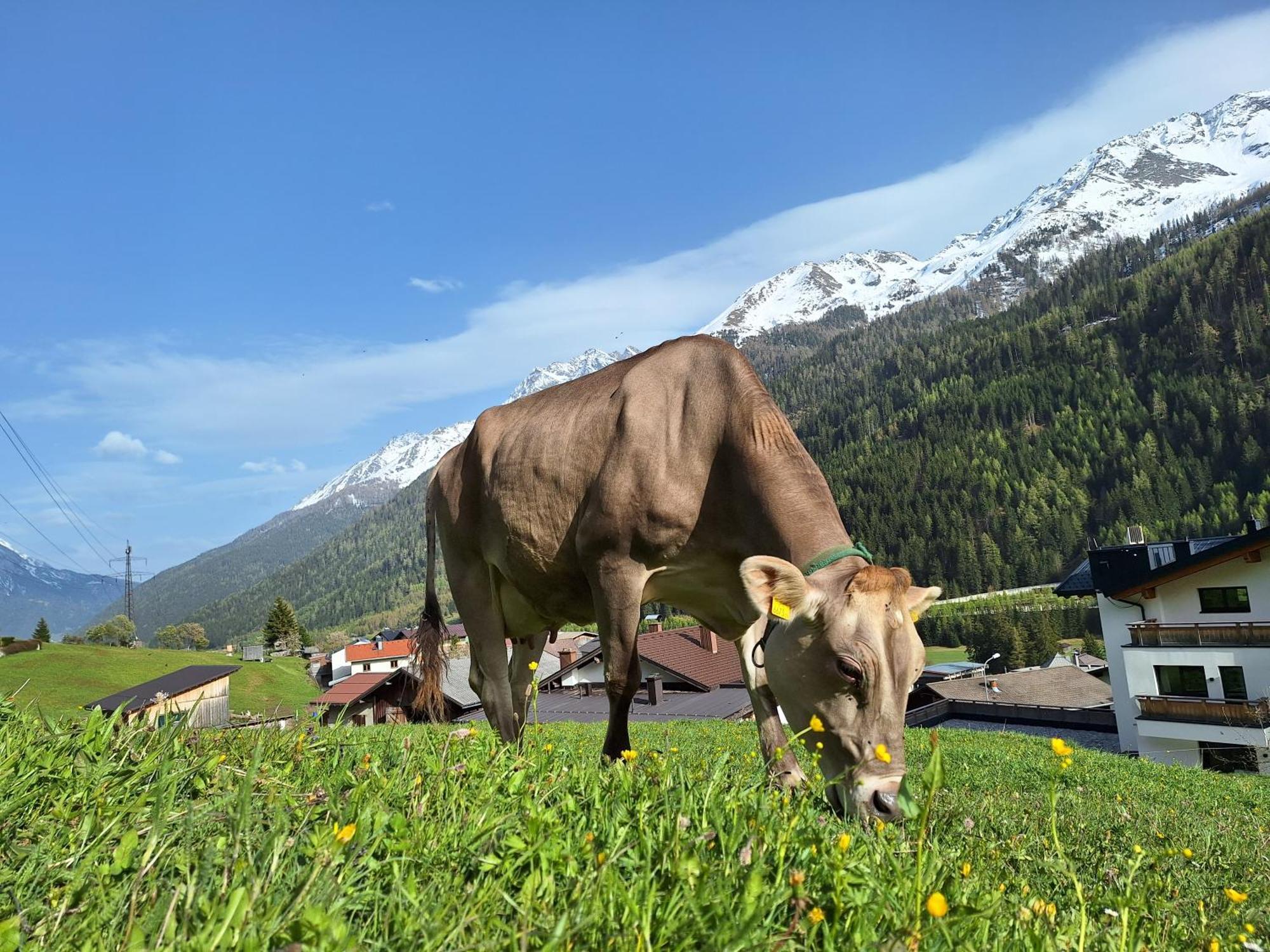 Gsoerhof Apartman Sankt Anton am Arlberg Kültér fotó